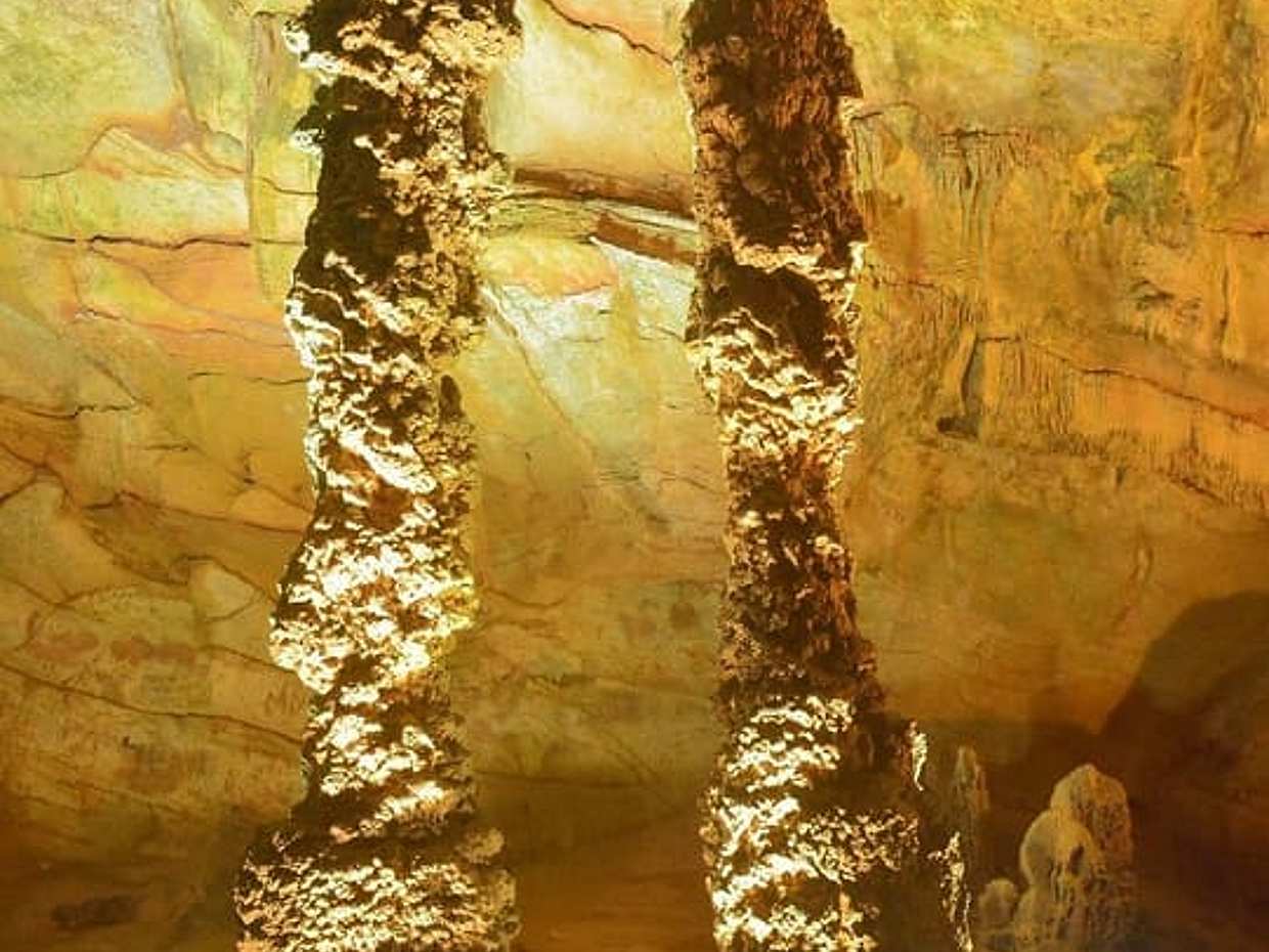 Full day Ke Bang National park - Phong Nha cave, photo 3
