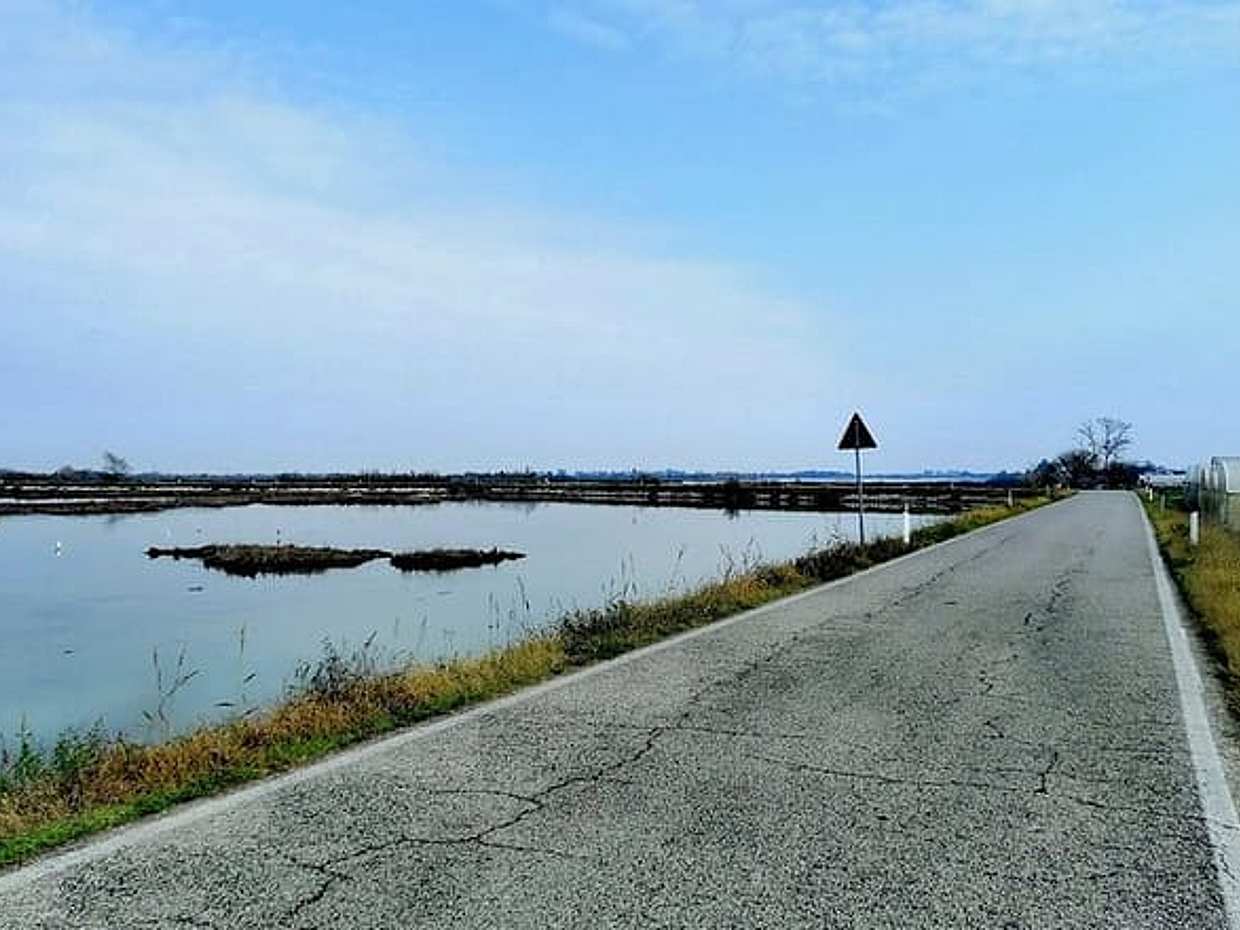 Venice Lagoon Bike & Birdwatching Tour: Flamingos in Lio Piccolo, photo 5