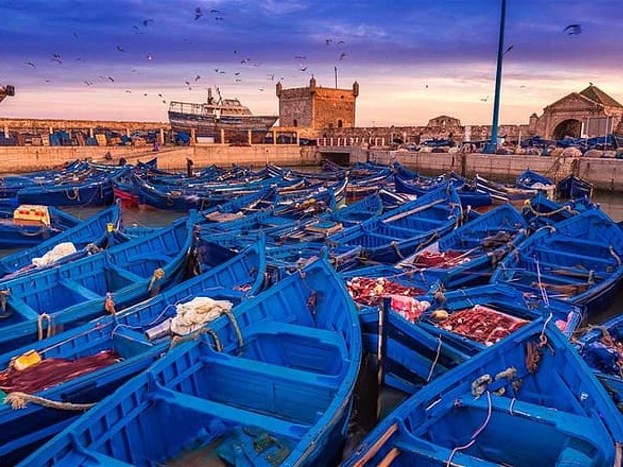 Atlas Mountains and Essaouira in 1 Night Private Tour From Marrakesh, photo 2