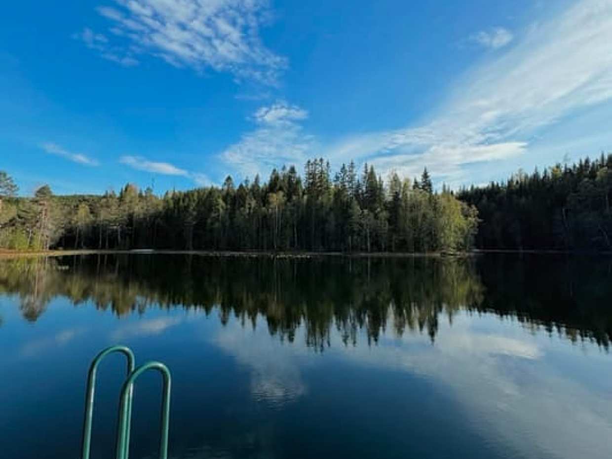 Norway Like a Local: Forest Cabin, Fresh Pastries and a Swim, Oslo, photo 5