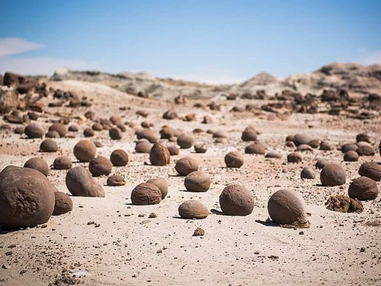 "Valle de la Luna, Ischigualasto, San Juan - Volledige dagtour, Argentinië", photo 3