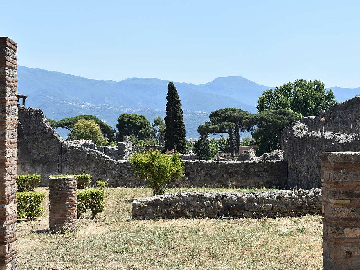 Pompeje, Herculaneum a Vesuv – soukromá prohlídka z Neapole minivanem (3–8 osob) v Itálii
, photo 5