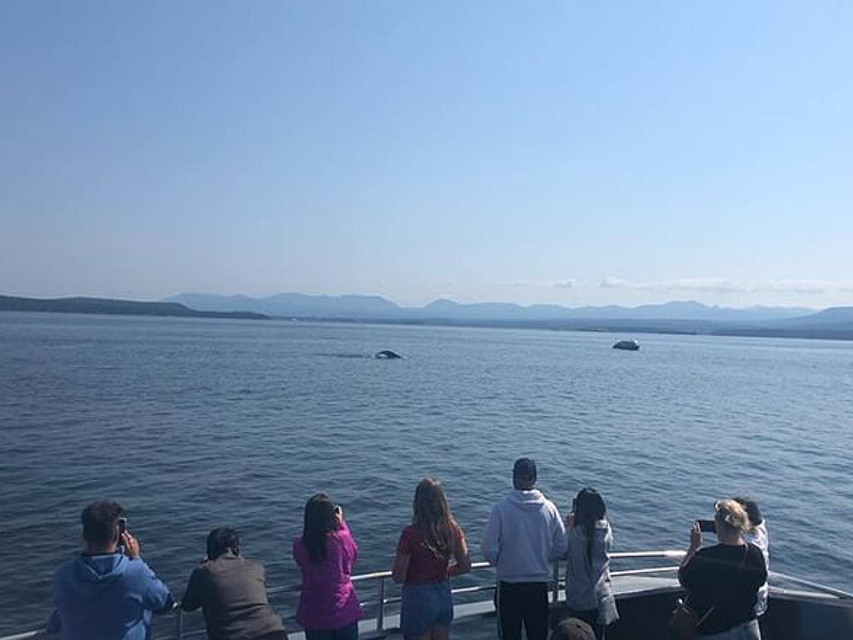5 Days in Vancouver Multiactivity Adventure Tour, photo 4