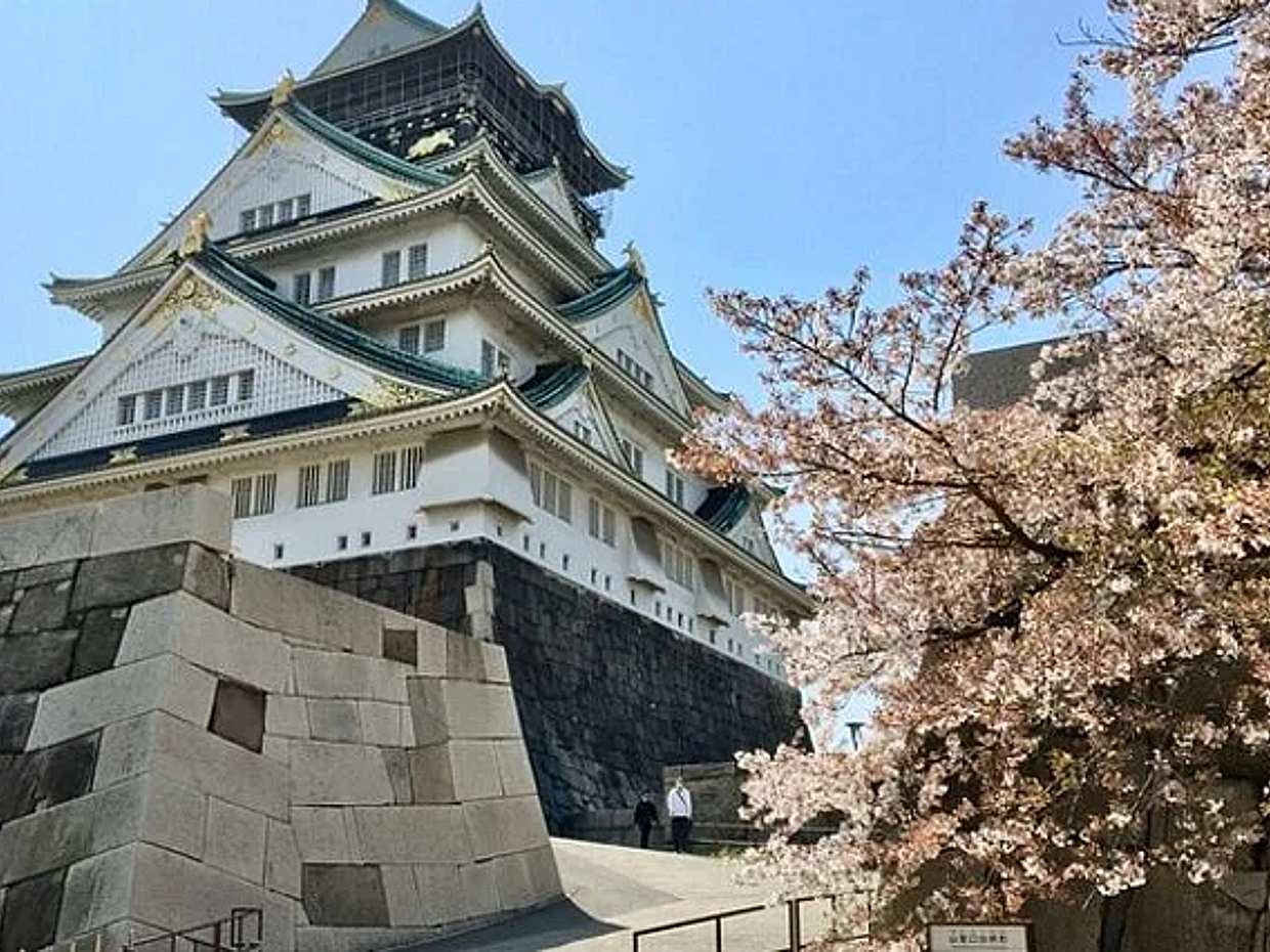 Half-day Private Guided Walking Tour to Osaka Castle, Japan