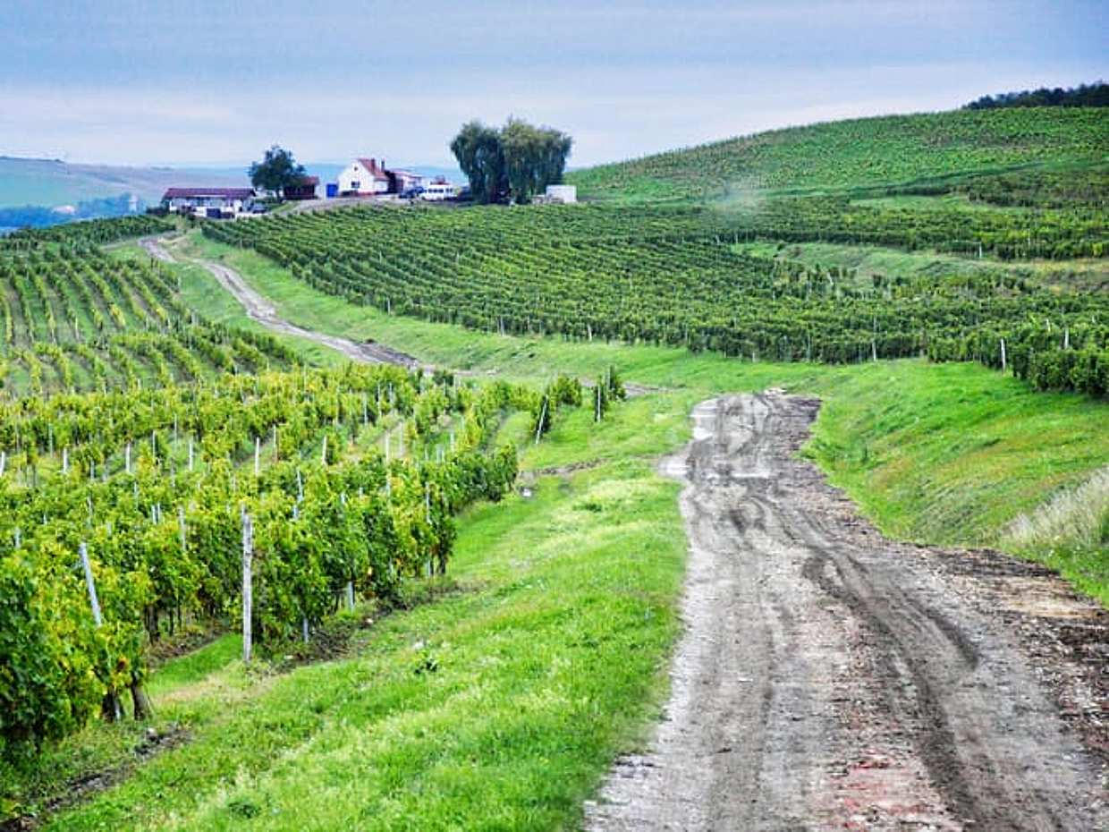 Sibiu e degustazione di vini in un castello, Romania, photo 3