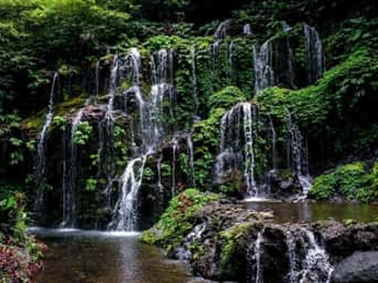 Wanagiri Hidden Hills, Waterfall, and Temples Tour, photo 2