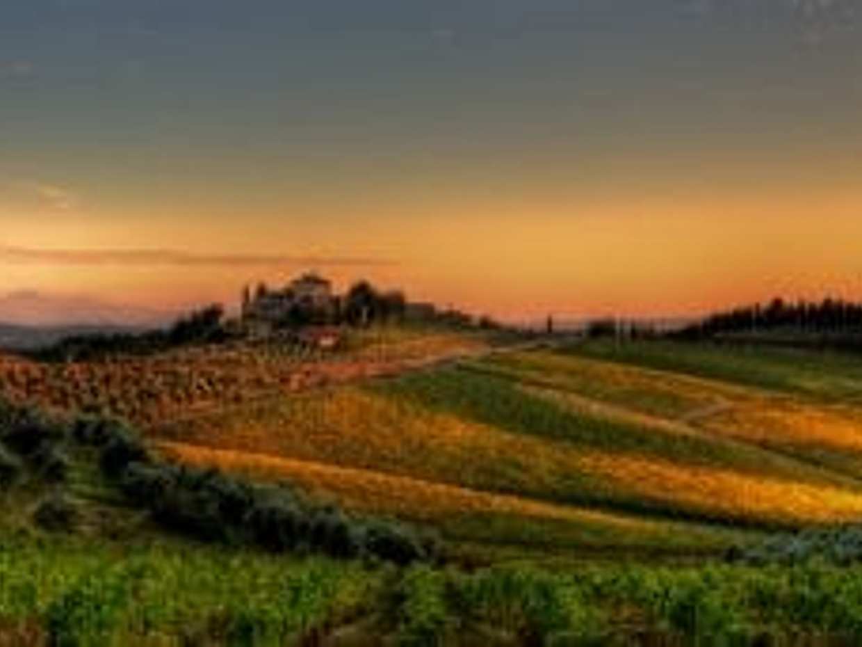 Private Tour - Chianti at Sunset with Wine Tastings & Dinner, photo 4