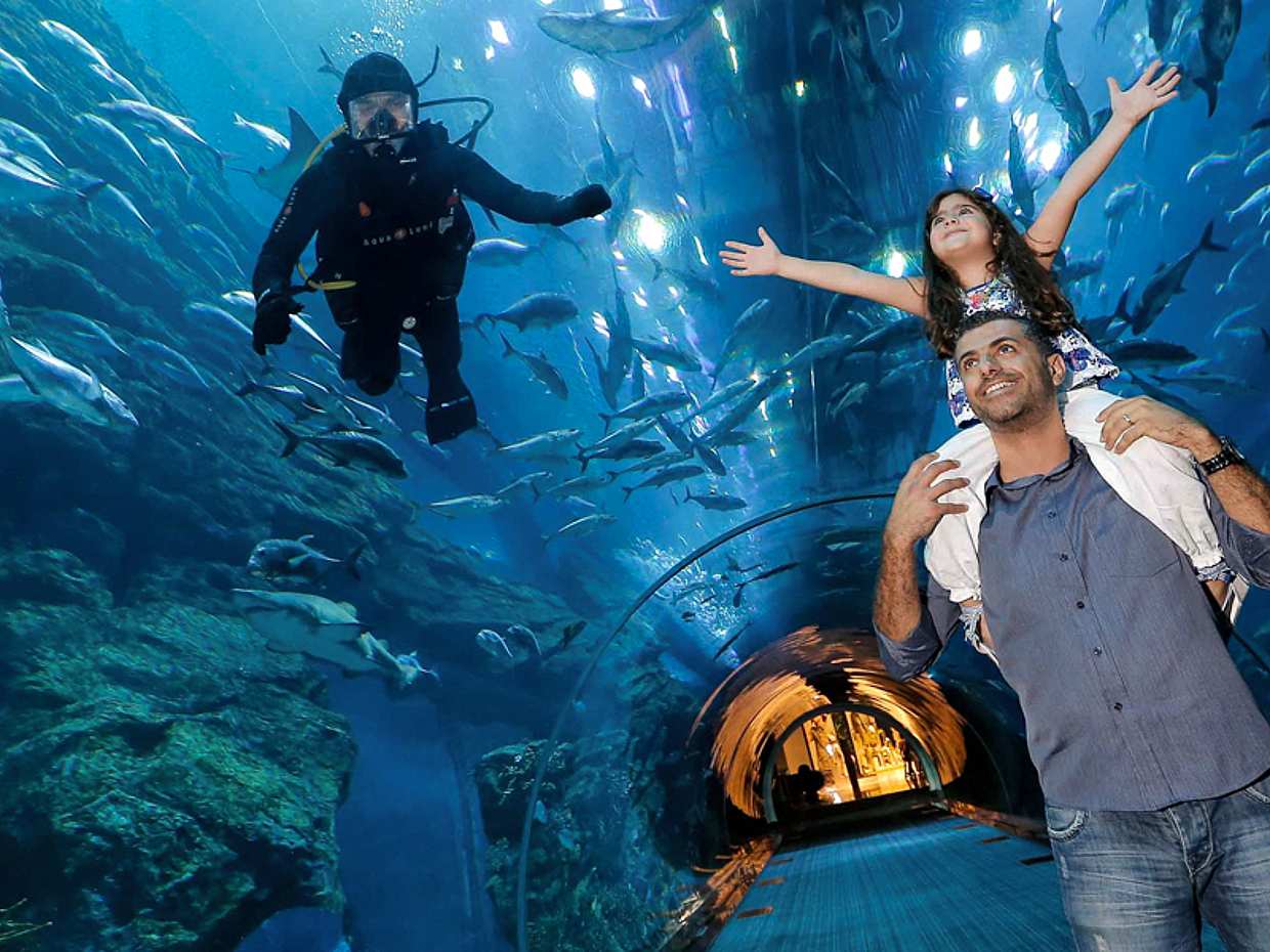 Burj Khalifa 124 & 125 Floor NON-PRIME + Under Water Zoo Combo in United Arab Emirates, Dubai, photo 3