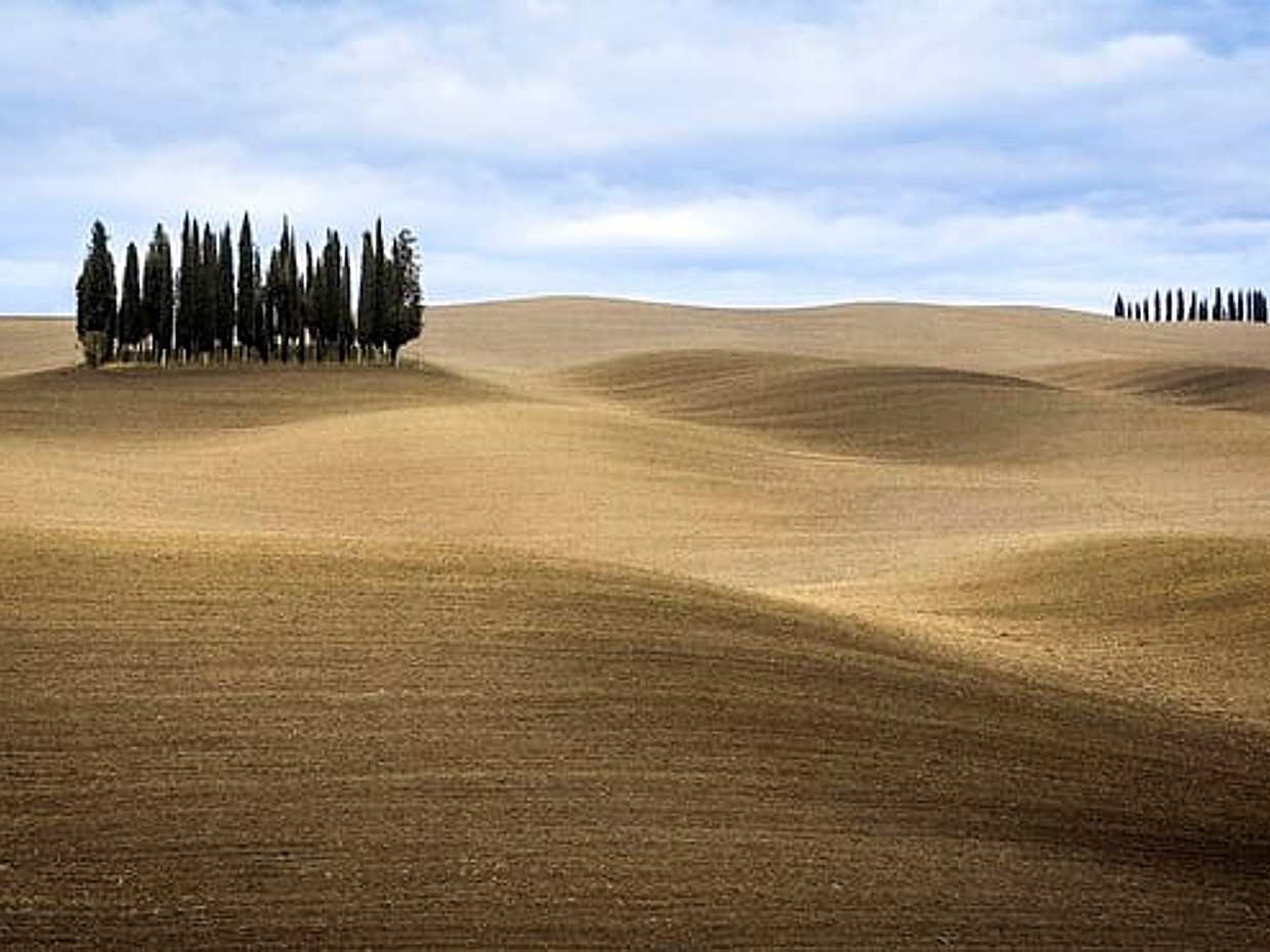 Private Tour - A Day in the Enchanting Val D'Orcia with Wine Tasting, photo 4