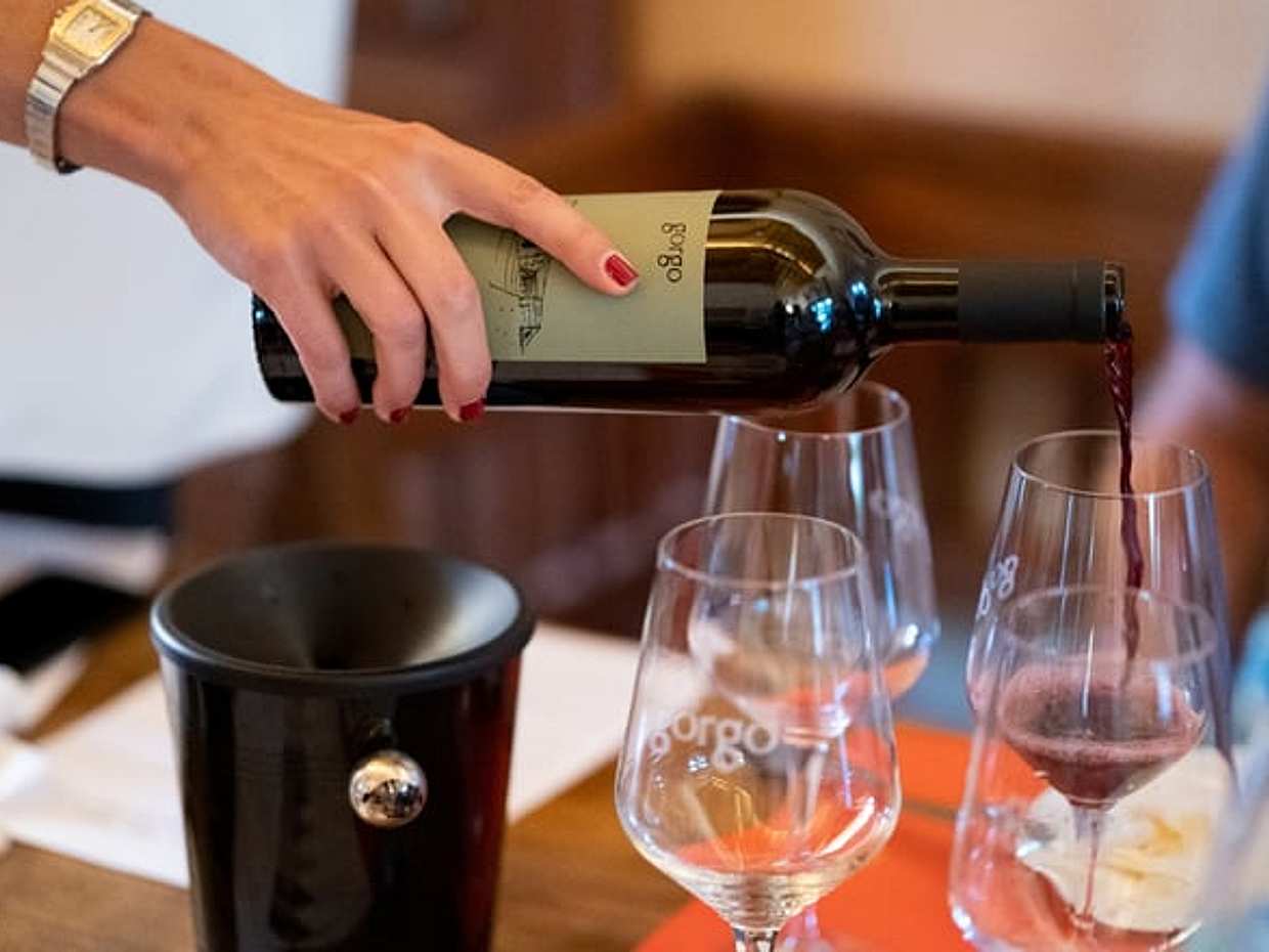 Custoza: tasting of 5 organic wines with vineyard and cellar tour, photo 2