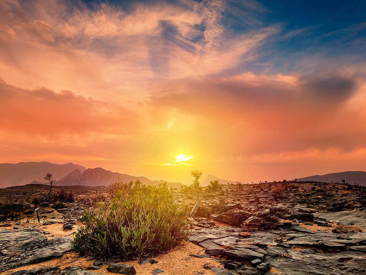 Nizwa a Jebel Shams: Uma Odisseia em Omã, Mascate.