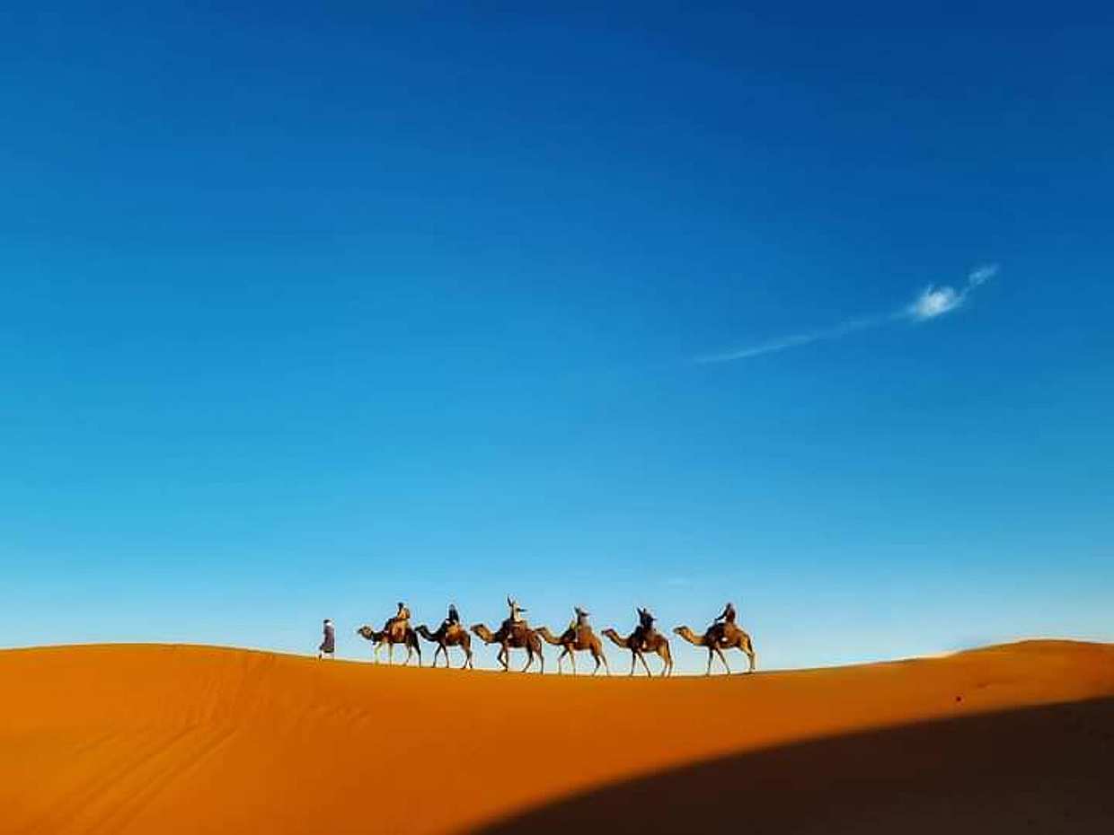 Wüstennacht und Kamel Trekking in Merzouga in Marokko.
, photo 4