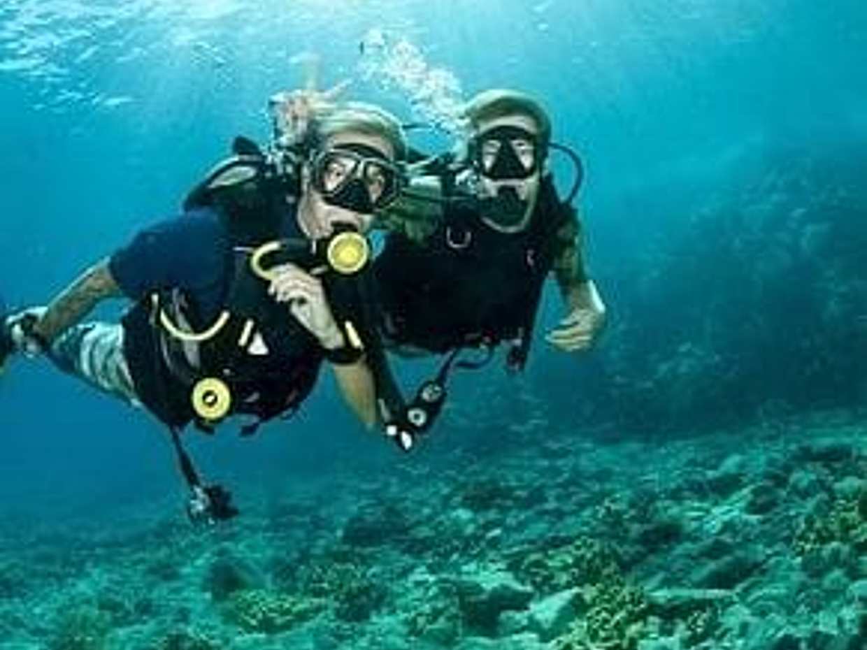 Scuba Diving Tour Fujairah, photo 5