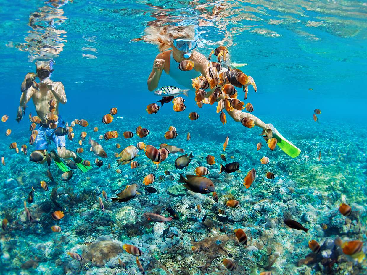 Esperienza di catamarano di lusso di un'intera giornata a Bali, photo 2