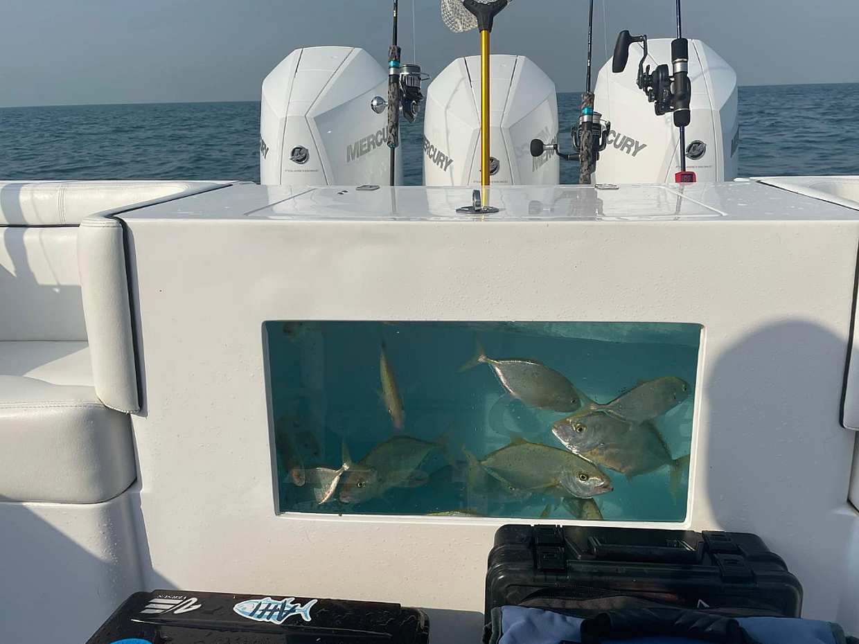Speedboot-Angelausflug in Doha, 5 Stunden in Katar
, photo 3