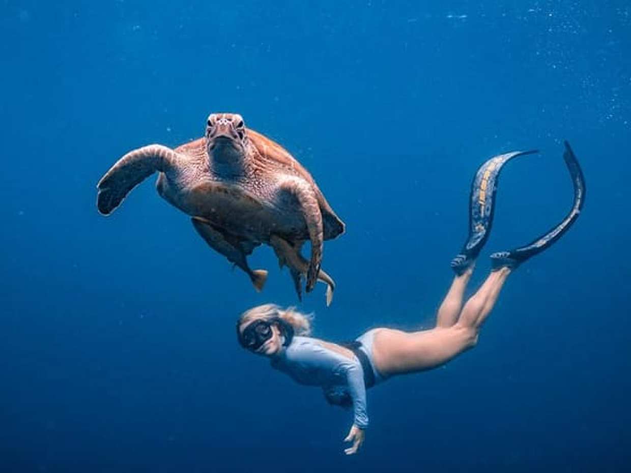 Los Cabos Snorkeling Tour to Chileno Bay and Santa Maria Cove, photo 3