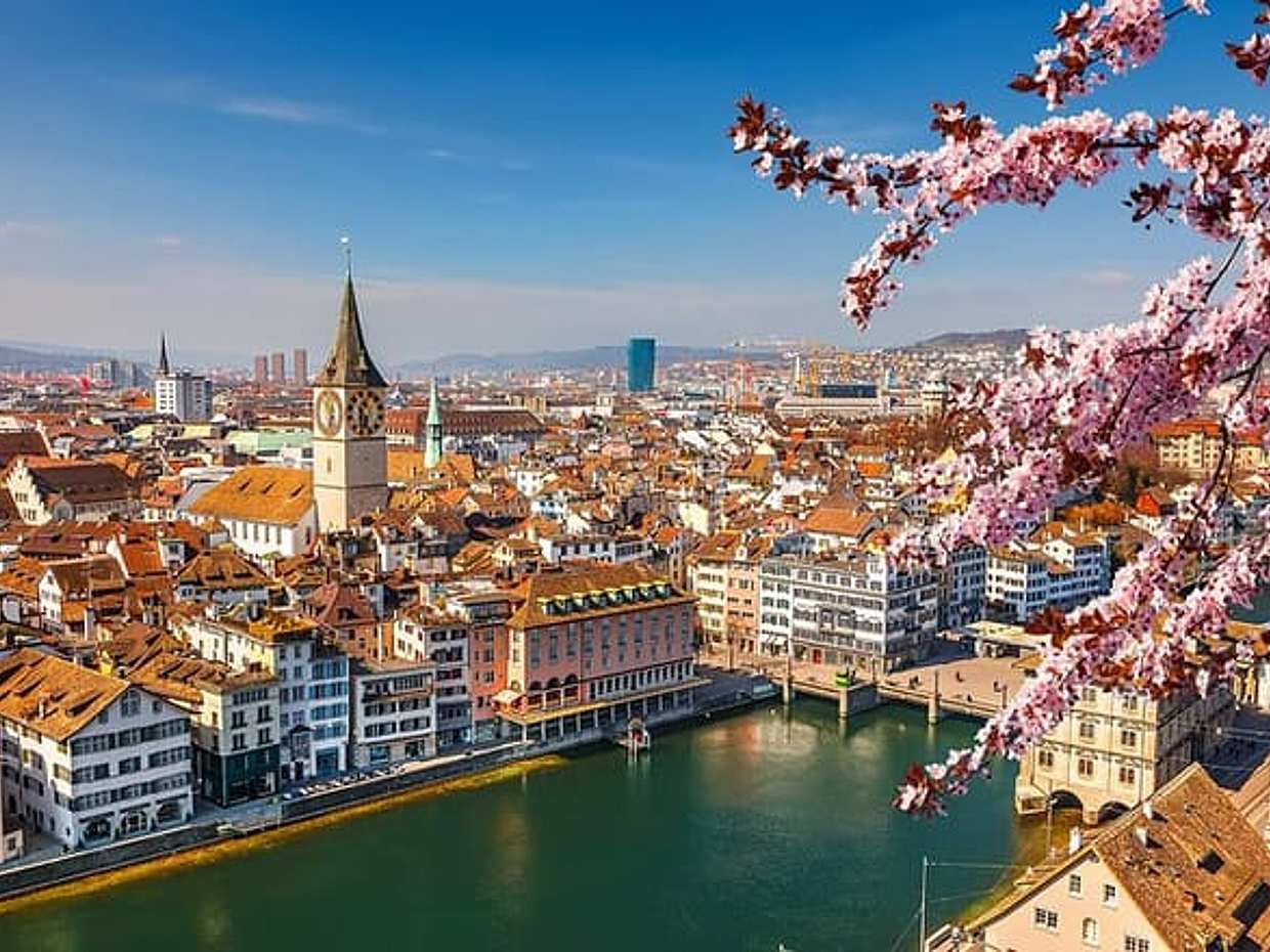 Private day trip from Basel to Zurich, Vaduz and back  in Switzerland, Binningen