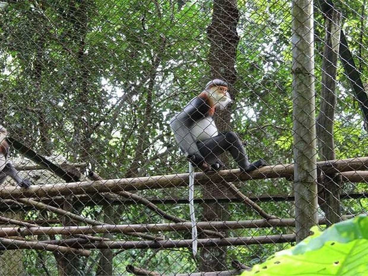 De Ninh Binh al Parque Nacional Cuc Phuong, Trekking y Selva en Vietnam, photo 2