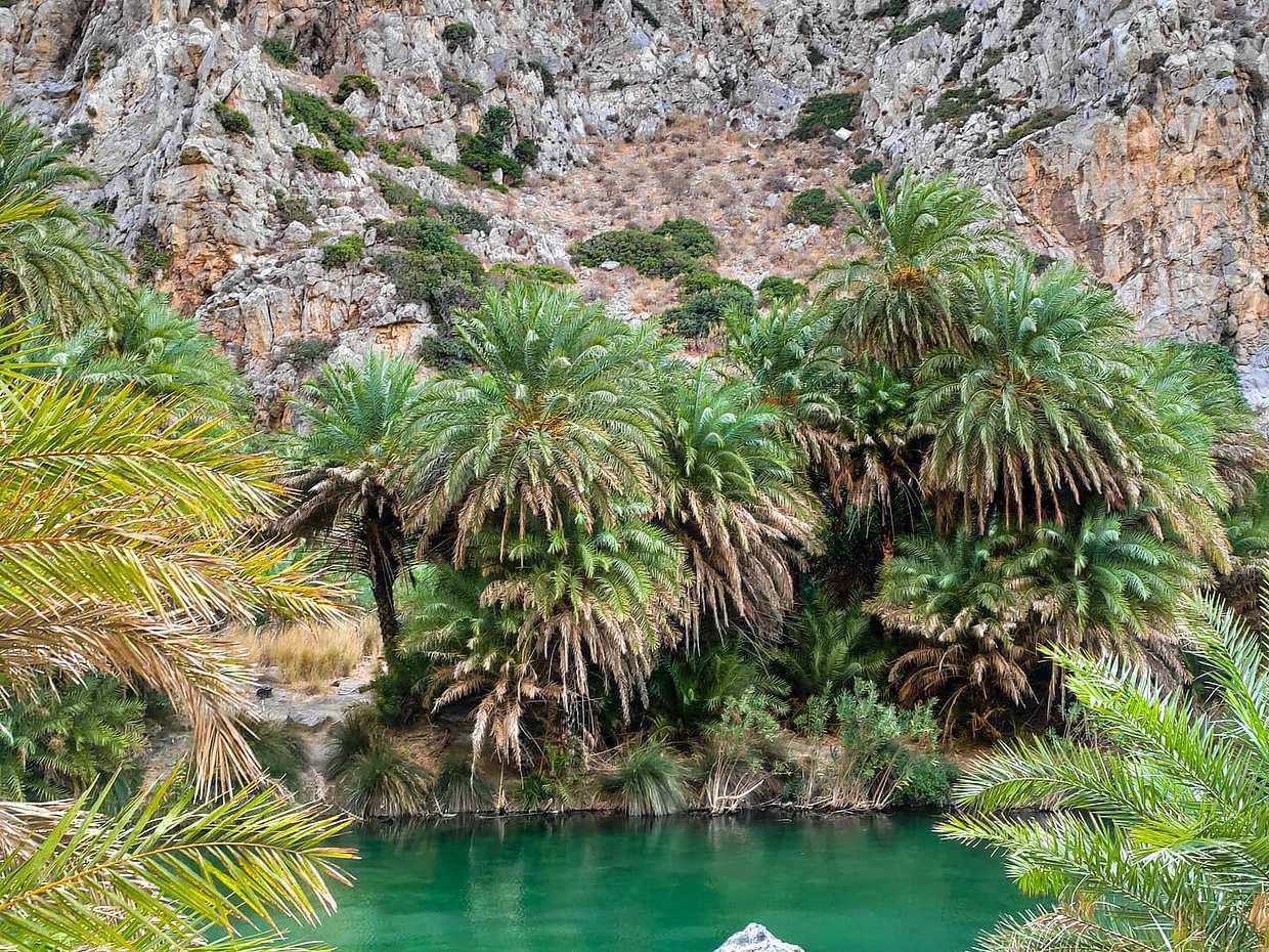 جولة نهارية كاملة إلى شاطئ بريفيلي ذي النخيل من هيراكليون في اليونان
, photo 5