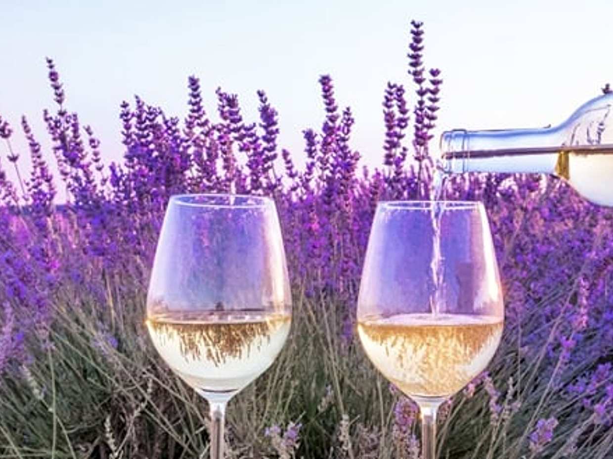 Antibes Shore Excursion: Private Provence Wine Experience, photo 3