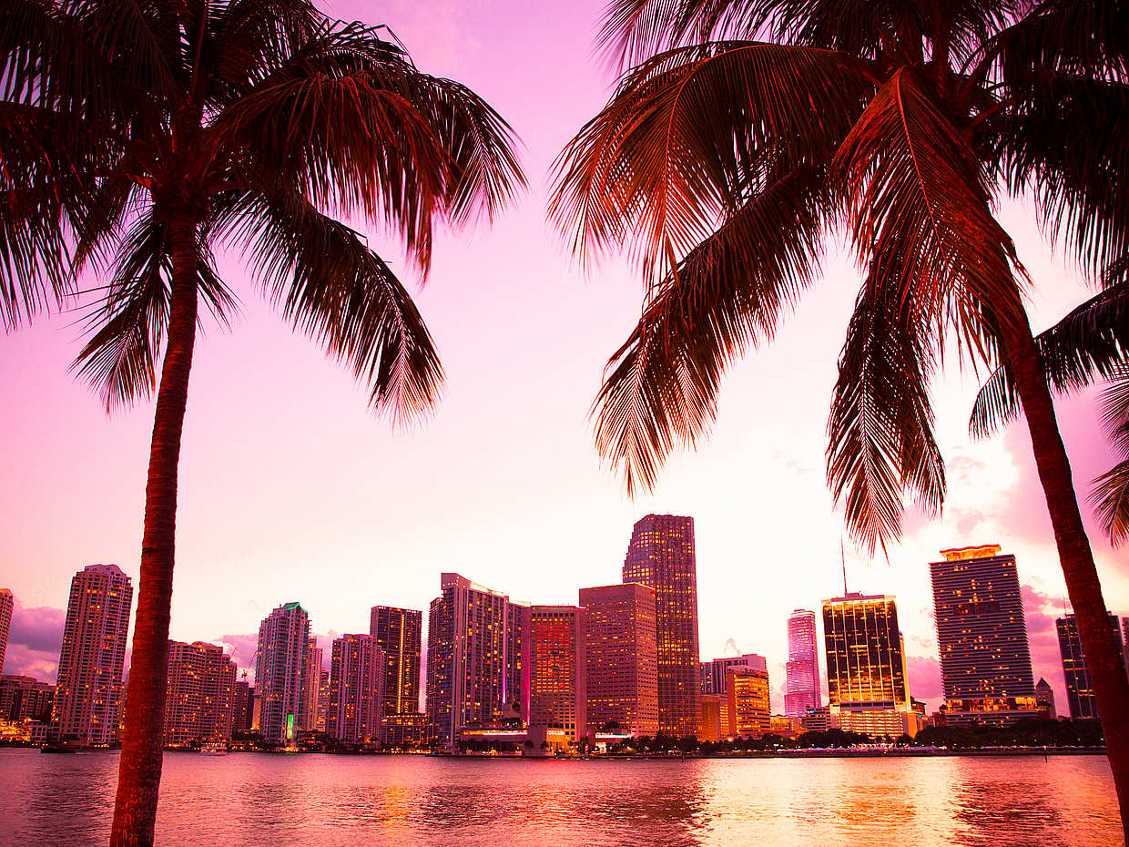 The Perfect Day in Miami, United States