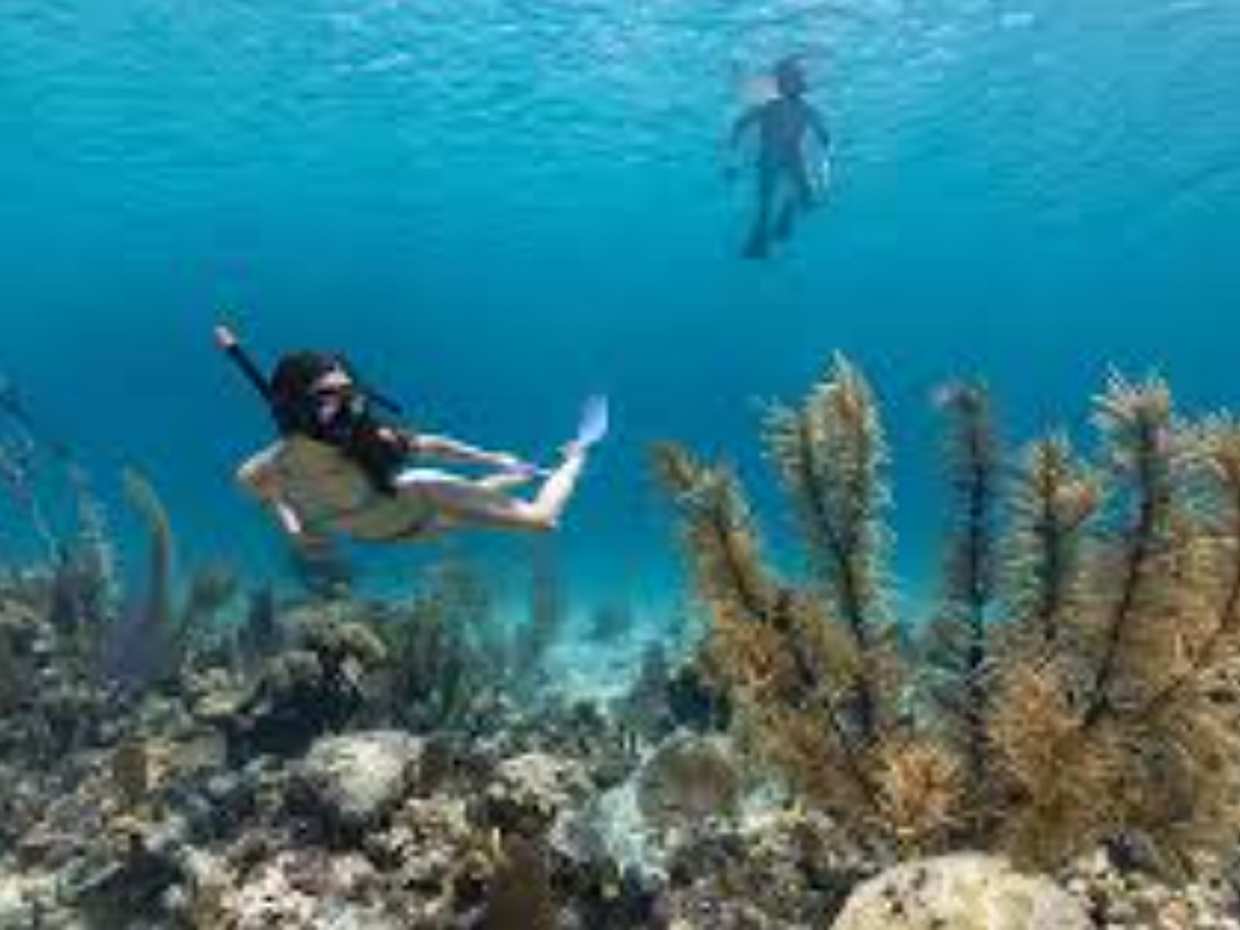 Bali: Padangbai Blue Lagoon Snorkeling with Local Guide in Indonesia, photo 5