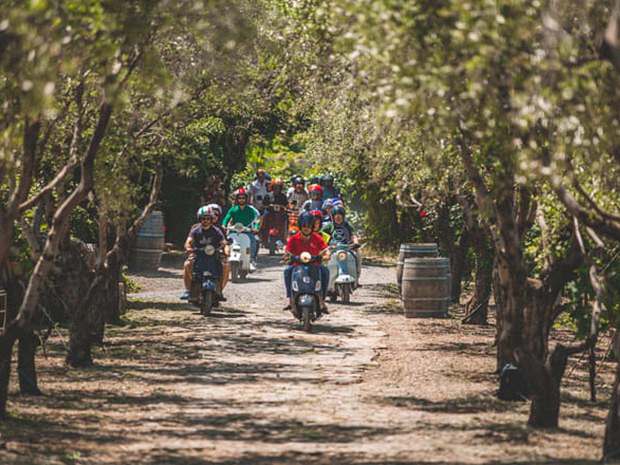 Chianti Vespa Adventure: Self-Guided Small Group Tour From Florence, photo 3