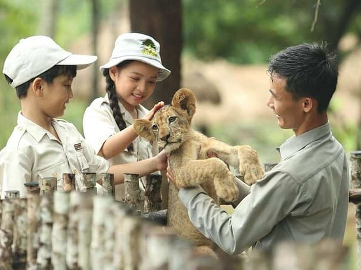 Phu Quoc: VinWonders & Safari Tickets with Private Transfer, photo 3