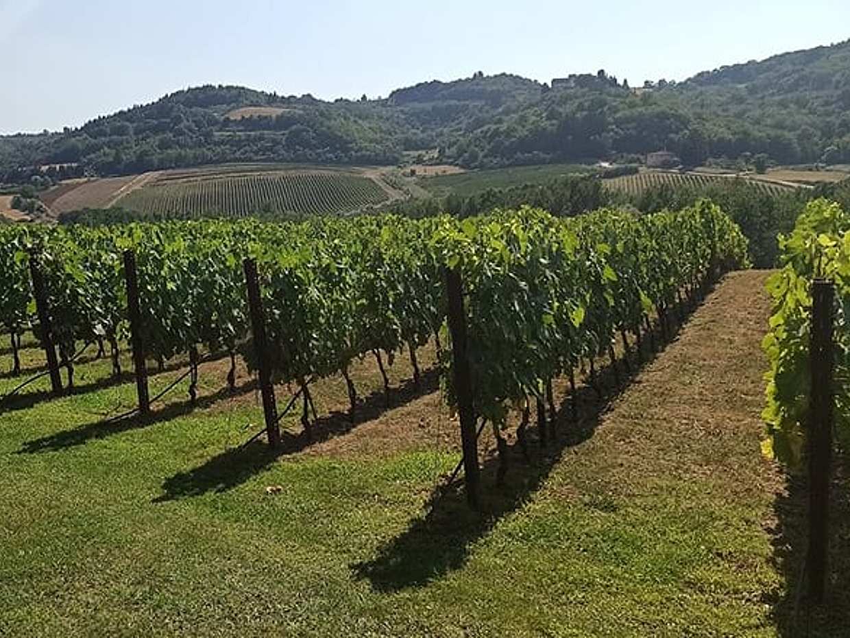 Where Gods’ Marble Takes Shape: Private Carrara Quarries Experience with Wine Tasting in Luni, photo 5