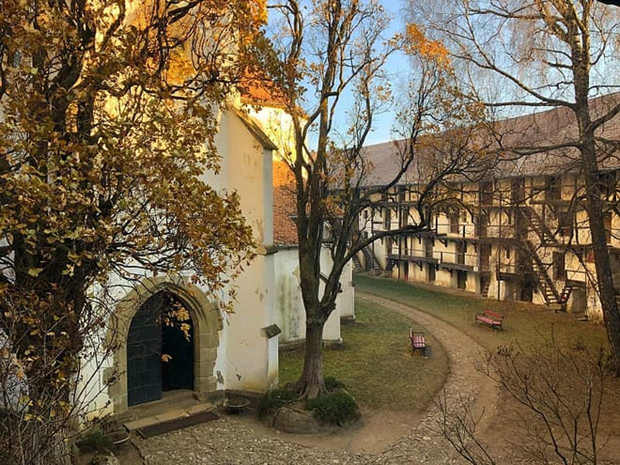 De Brasov : Visite d'une demi-journée en petit groupe des églises fortifiées de Roumanie, Brașov, photo 3