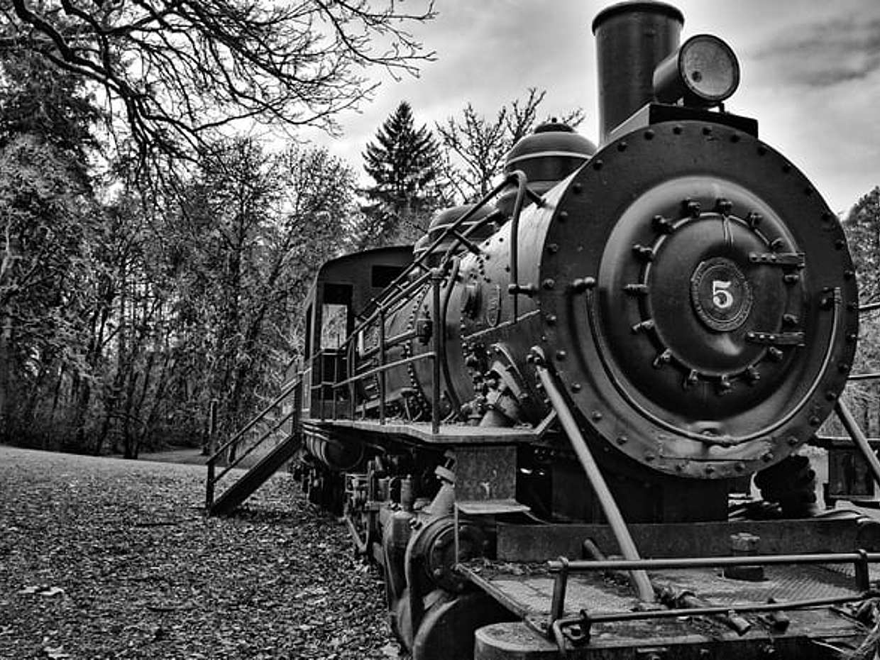 Echoes in Corvallis, photo 5
