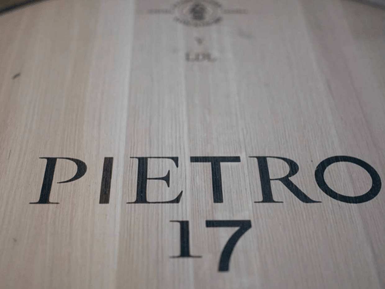 Marche Wines: Explore the Richness of Local Flavors, photo 2