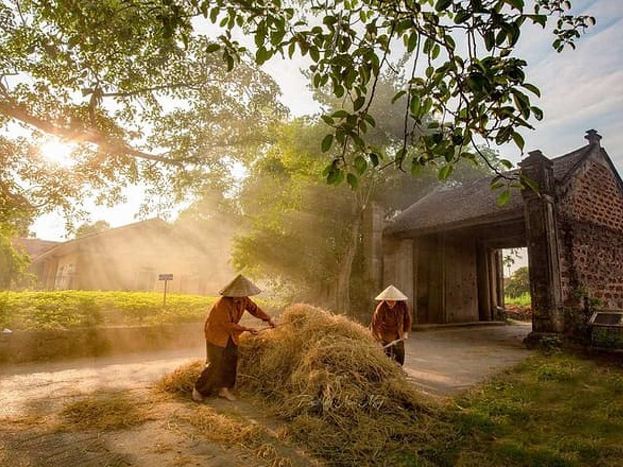 Hanoi: Private Tour Duong Lam Ancient Village, Traditional Crafts, photo 4
