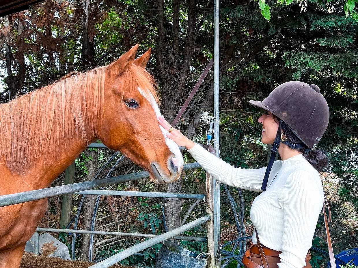 Tuscan Hills Horseback Riding Tour from Siena, Italy, photo 4
