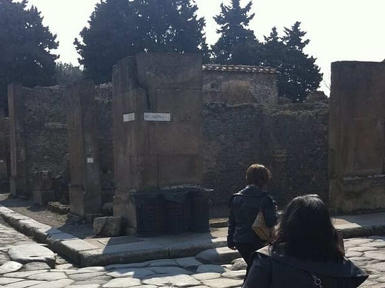 Tagesausflug von Rom nach Pompeji, zum Vesuv & mit lokalem Führer in Italien, photo 5
