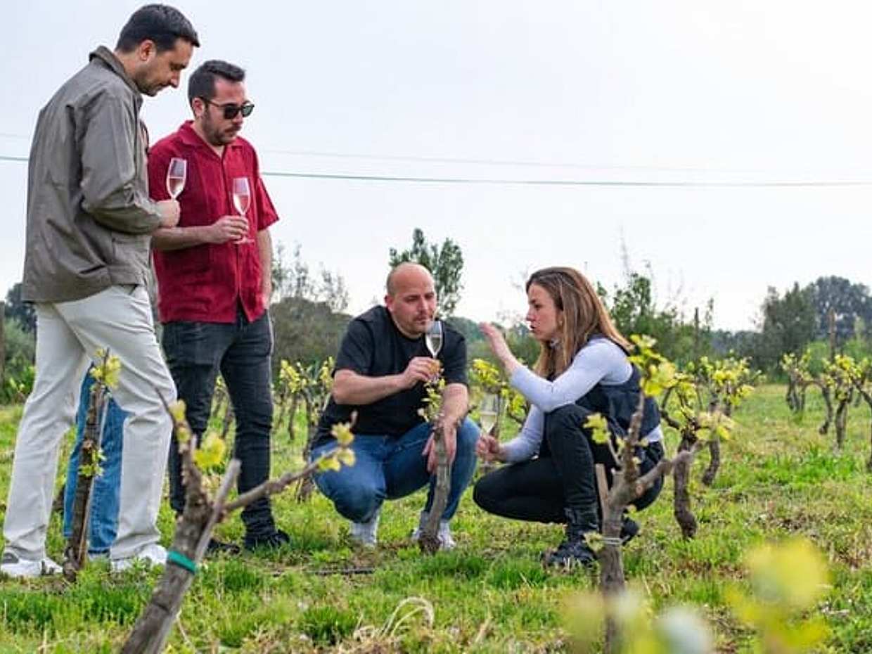 Private Champagne Day Trip - Two Vineyards of Reims & Lunch in France, Paris, photo 2