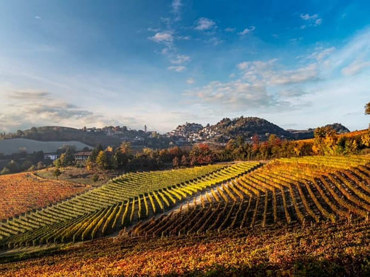 Il Blagueur: A Journey through Barolo's Finest Vintages, photo 3