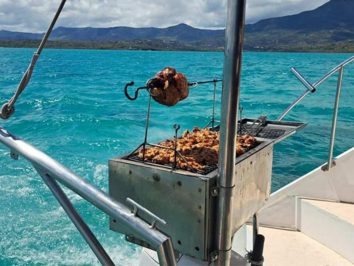 Full Day Catamaran Trip: Dolphin Encounter in the South West + Visit Benitiers Island, Mauritius, photo 4