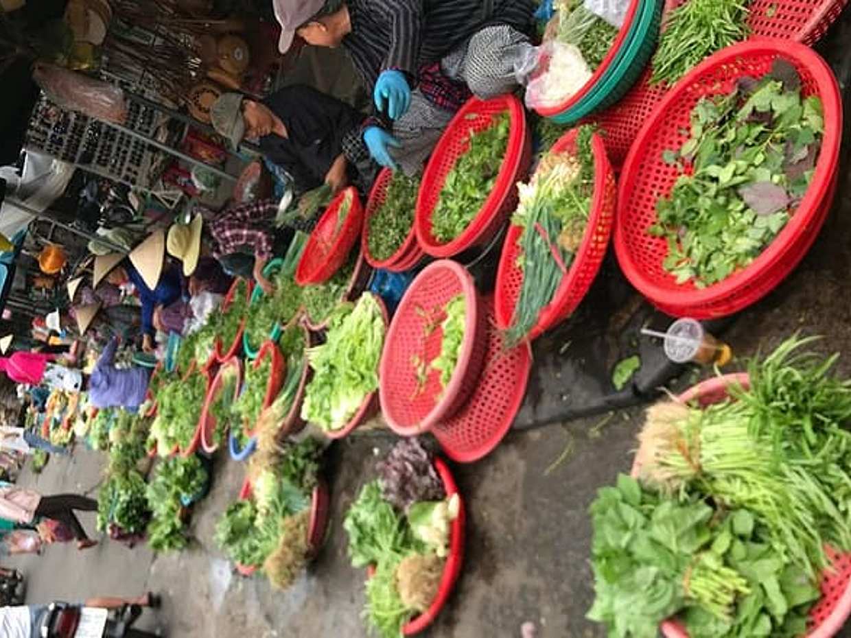 Hoi An Life Style Tour in Vietnam, photo 5
