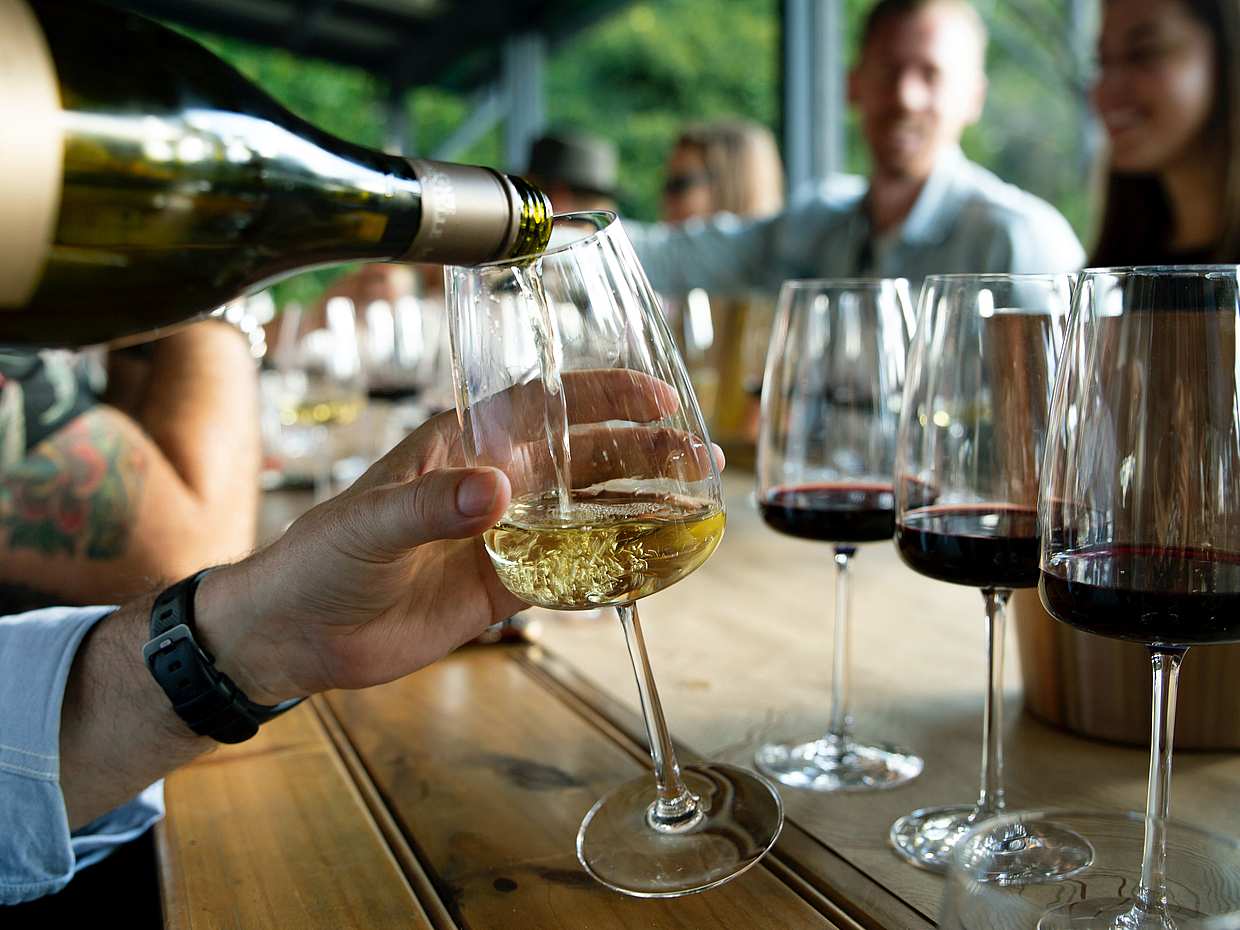 Private Full-day Wine Tasting Tour in Montepulciano from Rome, Italy