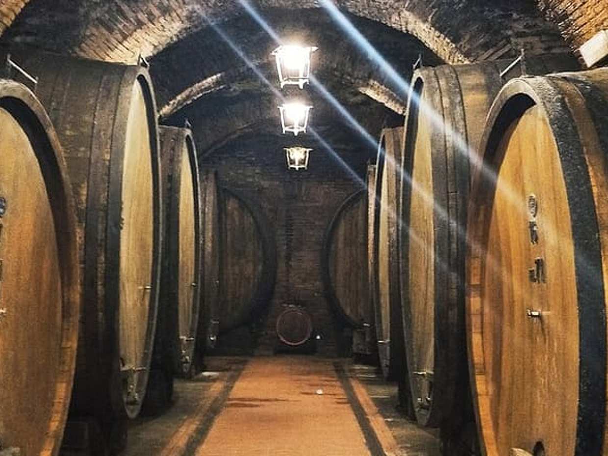 Private Art & Wine Tour in Cortona & Montepulciano, with lunch & 2 wine tastings, photo 2