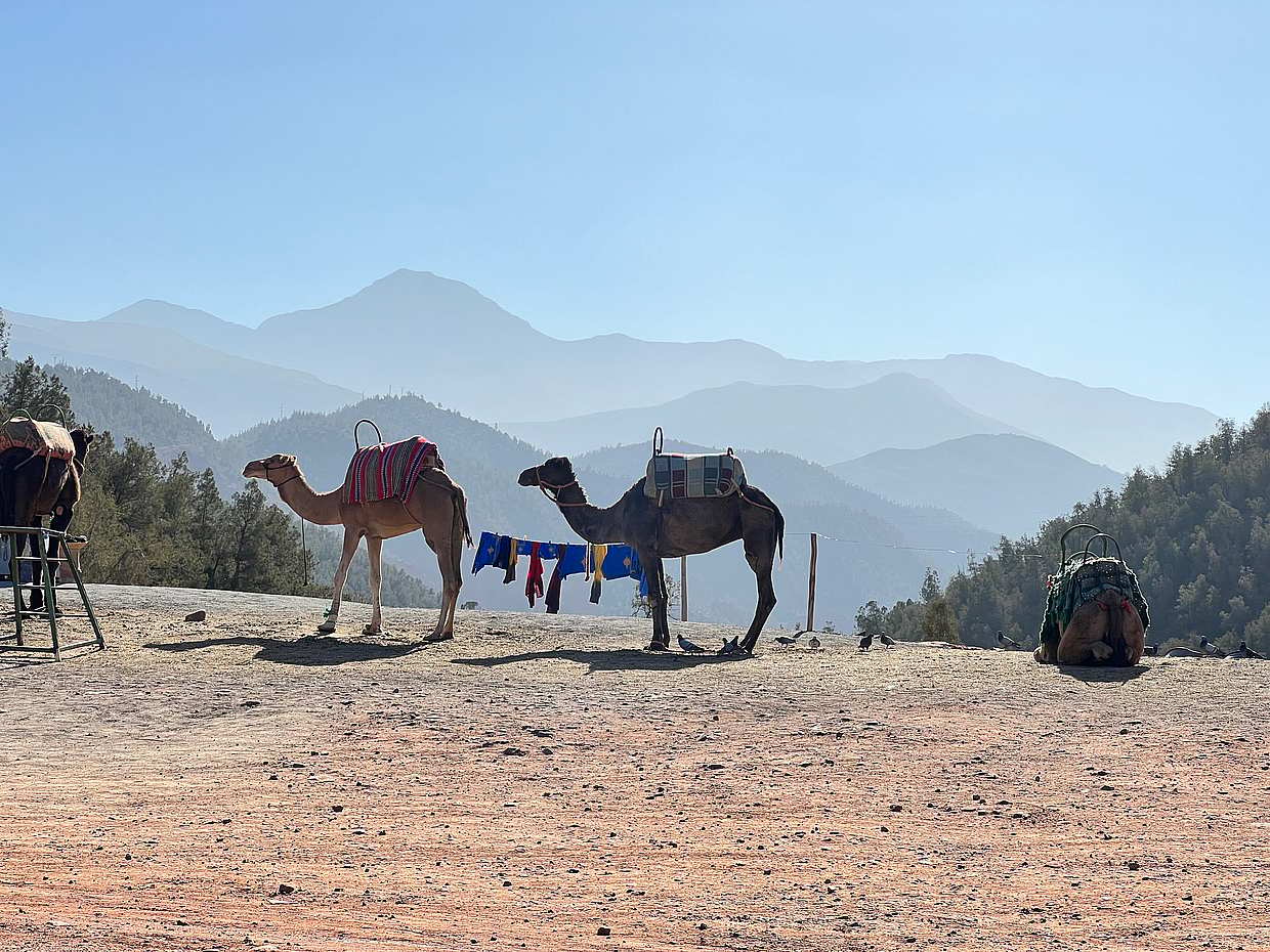 Ourika Valley Excursion in Morocco, Marrakesh, photo 4