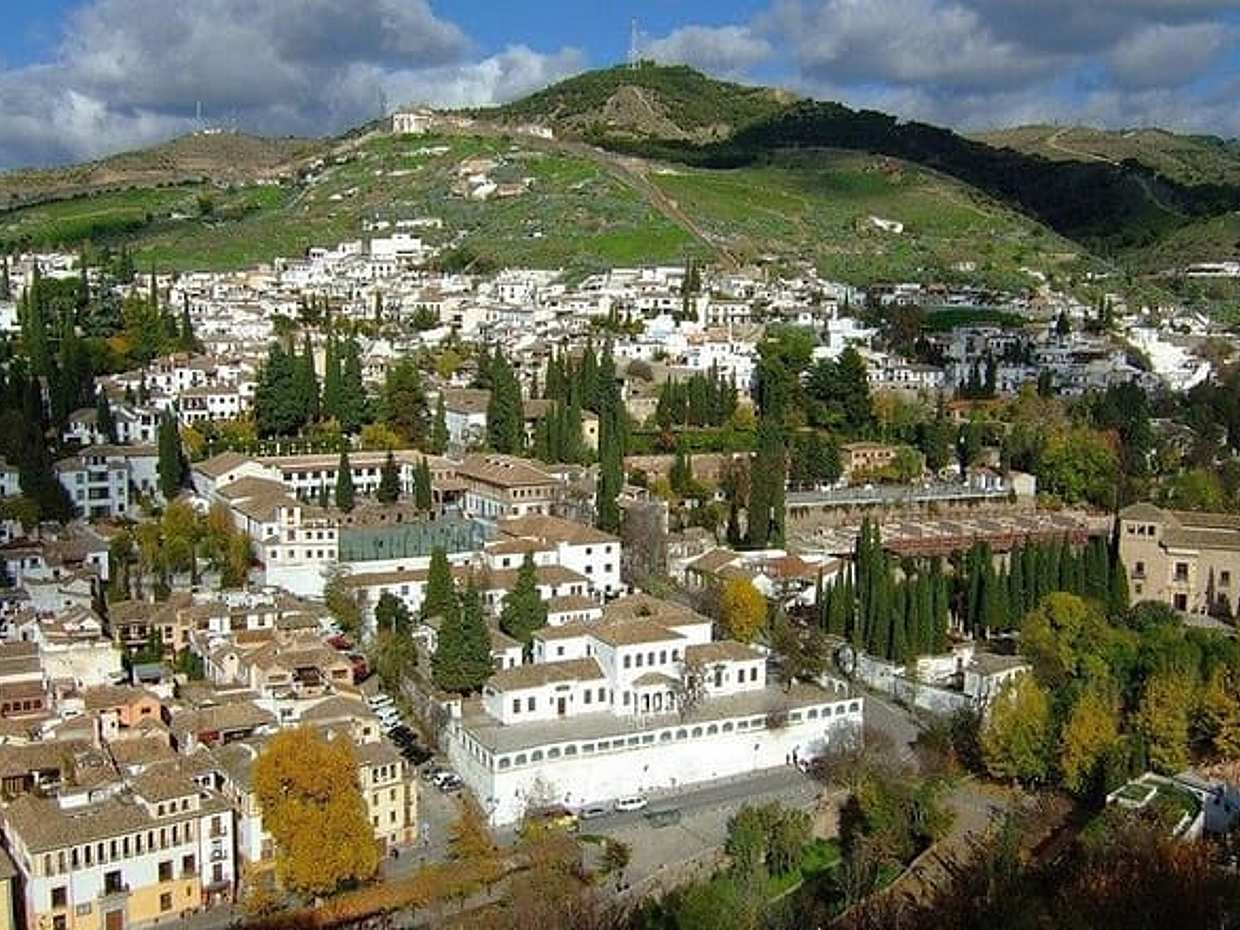 Granada Private Tour - From Madrid