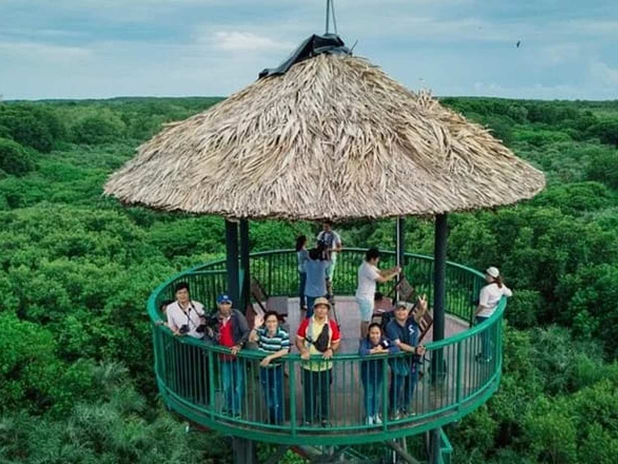 Private Adventure to Vam Sat Mangrove and Wildlife, photo 4