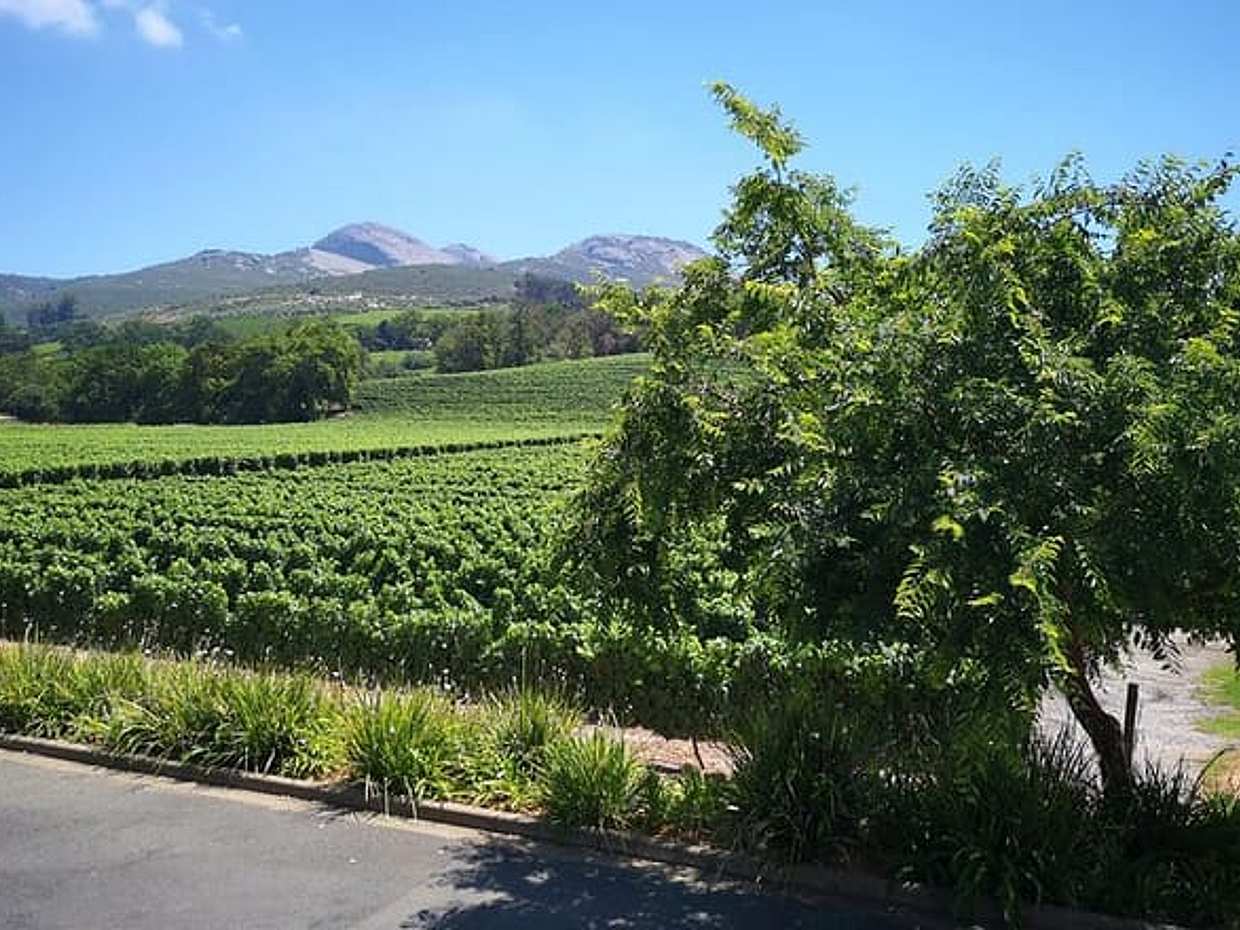 Private Stellenbosch, Franschhoek Paarl Wine Tour from Cape Town in South Africa, photo 5