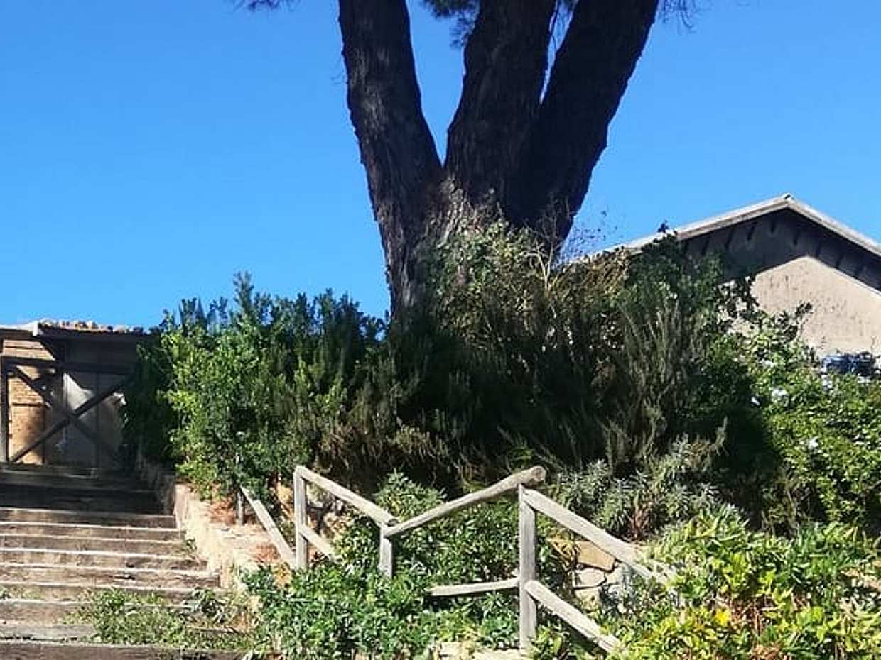 Cooking Class in a countryhouse near Cefalu', photo 5