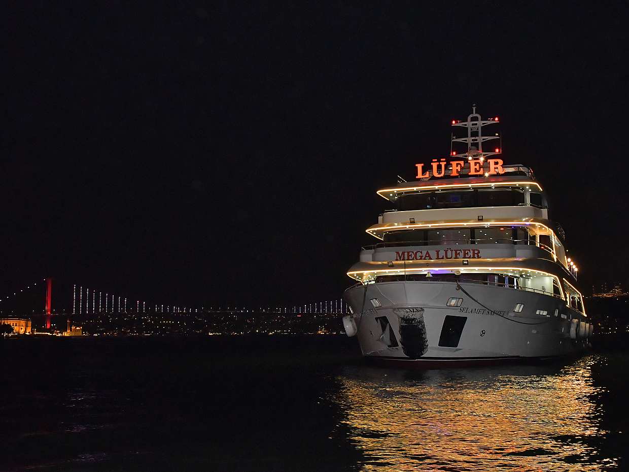 Bosphorus Dinner Cruise with Turkish Entertainment Program in Istanbul, Türkiye, photo 2
