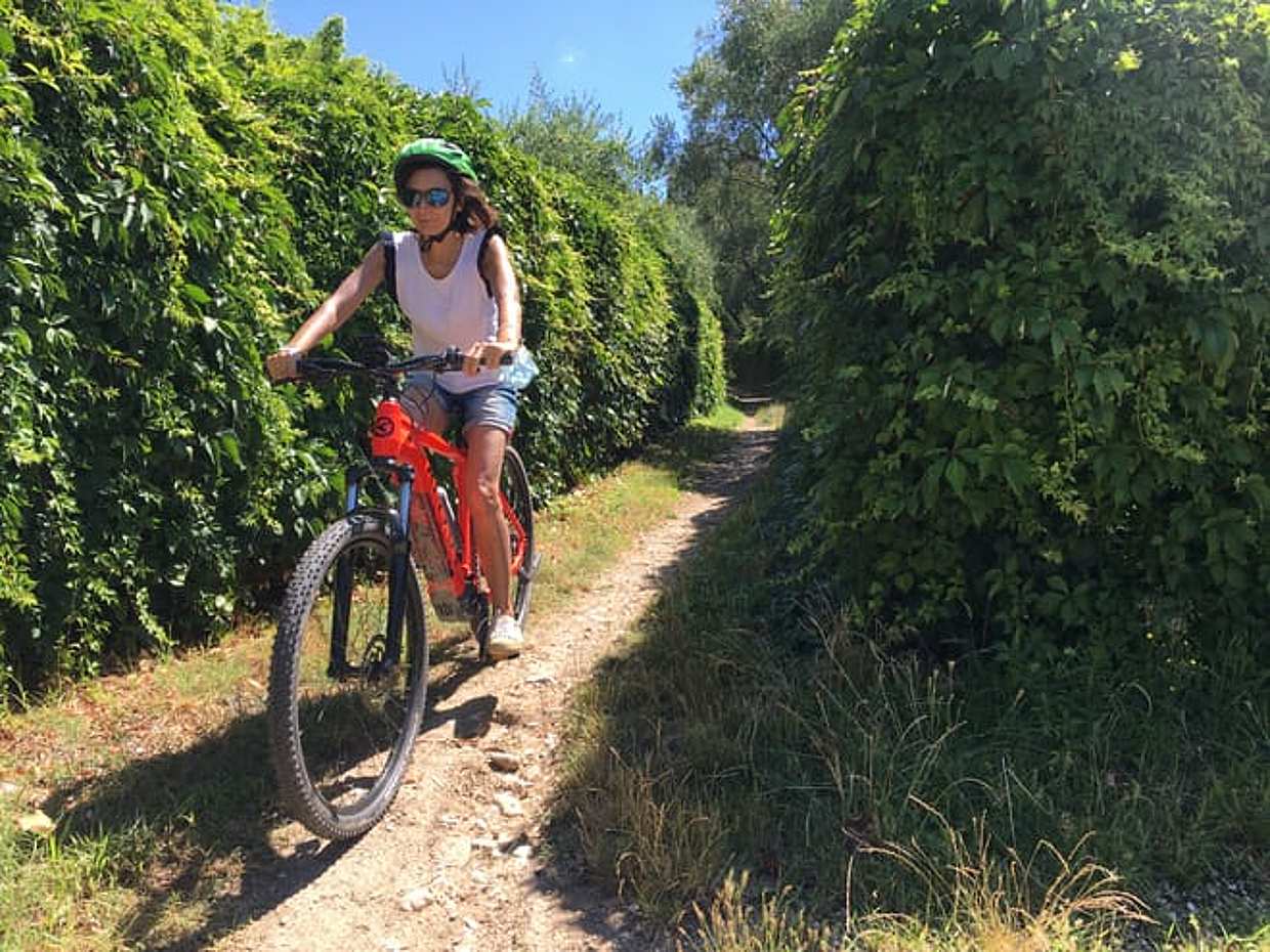 E-Bike tour with wine tasting from Polpenazze, photo 4