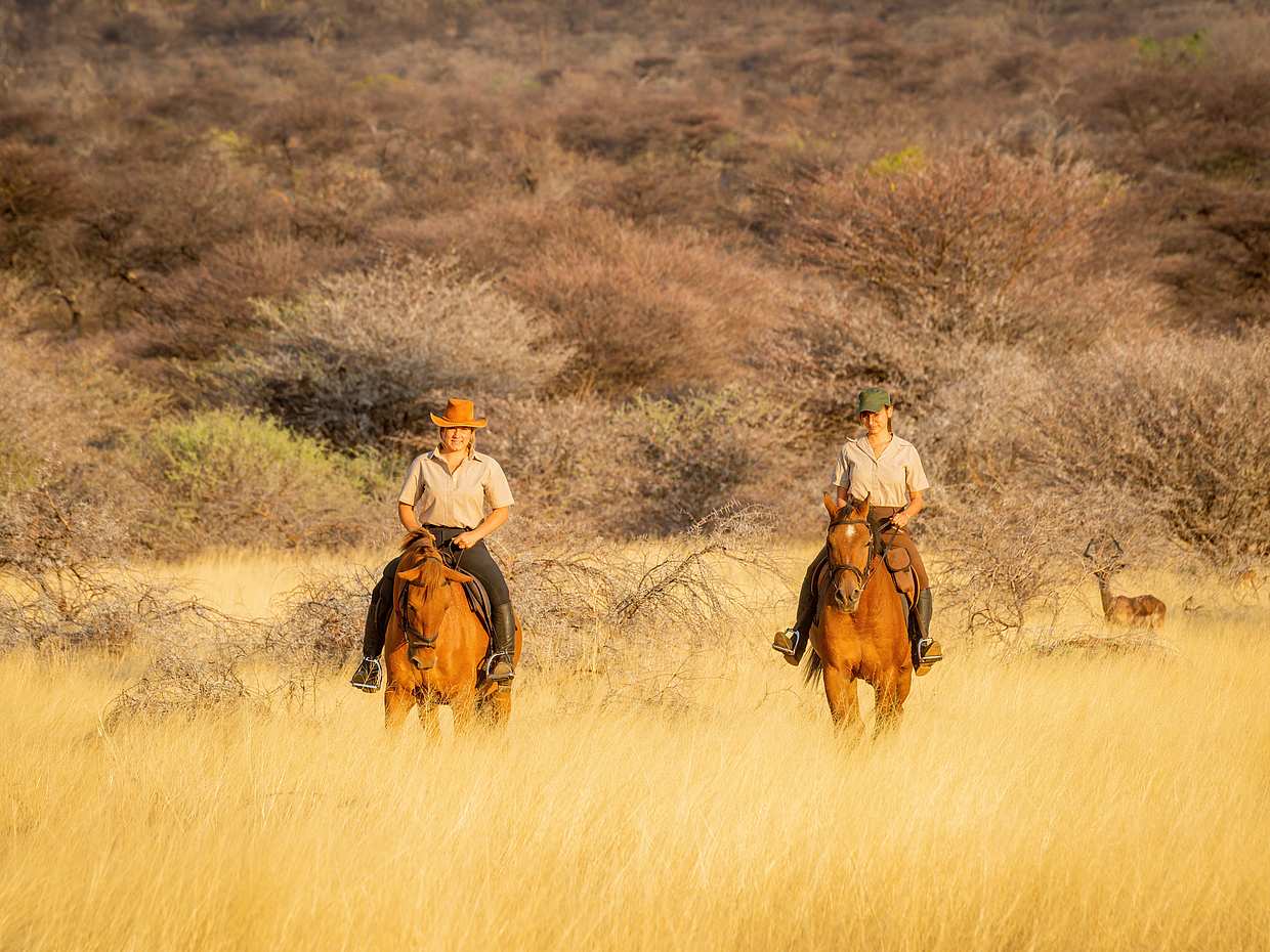 For Couples: Private Horse Riding Safari in Cape Town, South Africa