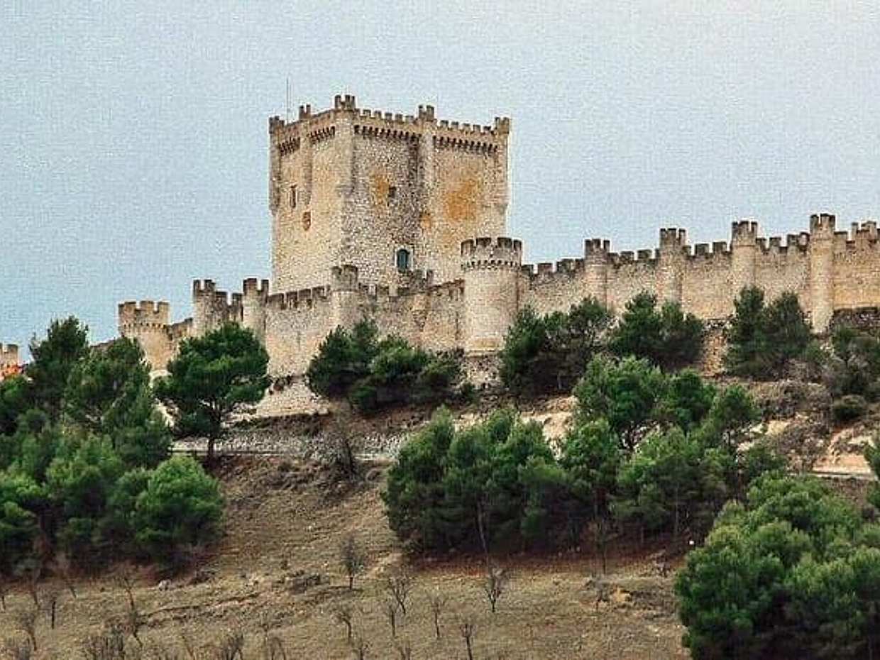 Winery Tour in Ribera del Duero & Segovia - From Madrid, photo 5
